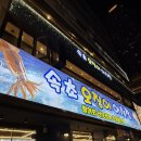 목동 어시장 | [속초오징어어시장] 목동/오목교 횟집 맛집 광어+연어회 매운탕 후기