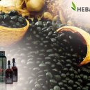 헤바베오 (Hebavepo) 이미지