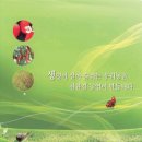 에이엔티환경 이미지