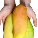 무지개농장 2 이미지