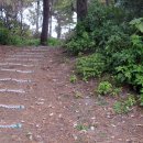 제주하도바당 이미지