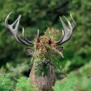 어쭈구리 이미지