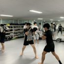 경기광주 주짓수 킥복싱 이미지