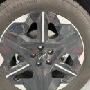 강변셀프세차장 | 울산 노터치 세차장 추천! 더편한세차 울산점 솔직 후기 (24시 실내 세차 가능)