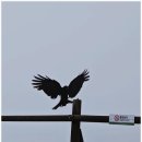 곰달래로6길 | 신정동 용한점집 사업운 들으러 다녀왔던 용화당에서의 기록.