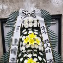 벌교삼호병원