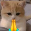 바다가되고싶어요
