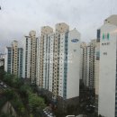 마포박사공인중개사사무소 이미지