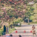 당림미술관 이미지