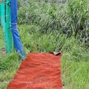 양평파크골프장화장실 이미지