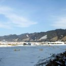 인제05-1 이미지