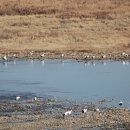 DMZ 안보관광 코스 | 고성 DMZ 안보 관광 코스 추천 및 방문 팁