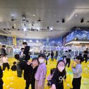 삼손태권도 이미지