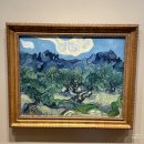미국 뉴욕 현대 미술관(MoMA) 모마 미술관 현대카드 입장 모마 디자인 스토어 할랄 가이즈