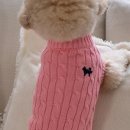 아이도그 이미지