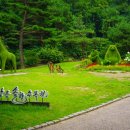 솔향수목원(전시온실) 이미지