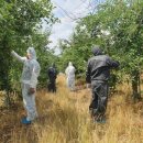 의성군농업기술센터(점곡지소) 이미지