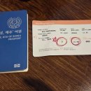 안녕 제주 | 선릉 고기집 제주 돼지고기가 맛있는 선릉 맛집 안녕, 제주 후기