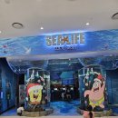 바다속으로 | 코엑스아쿠아리움 크리스마스 나들이, 아이와 반짝이는 겨울 바다 속으로 다녀온 후기