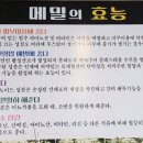 석가네 이미지