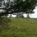 가을목장 이미지