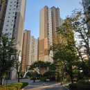 비브레이브(주) 이미지