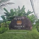 해피스윙바디 | [신혼여행] 파드마우붓 3박4일 후기 | 정글뷰·인피니티풀·해피아워