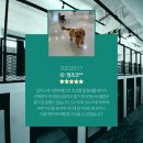 독스하트 구리 이미지