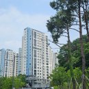 포레스트(단지내)공인중개사사무소 이미지