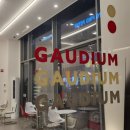 Gaudium(가우디움)