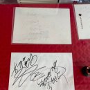 대가야반점 이미지