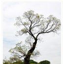 아라메길(1-1) 이미지