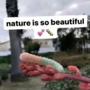 토함빌리지 | 3월