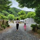 단양별소풍 | 부모님·아이랑 떠난 단양 소풍캠핑장 — 계곡뷰 가족 캠핑 추천