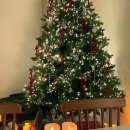 금오산로22길-1 | 구미사진관 아기 크리스마스 촬영 메리엔스튜디오 셀프 무인 파티룸 애견동반 공간대여 브라이덜샤워