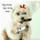 하두 이미지