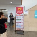 룰루파스타