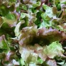 삼공주농장 이미지