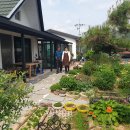 송명희 농장 이미지