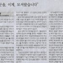 꼬리연구소 네이버블로그