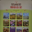 [김제 카페 추천] 푸른 정원과 데이지 꽃밭이 아름다운 대형 베이커리 카페 '오늘여기' 방문기
