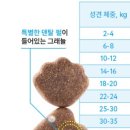 샤이니덴탈 이미지