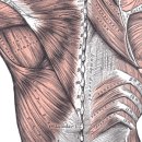 하트핏 휘트니스 이미지