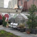 옥상조각 이미지