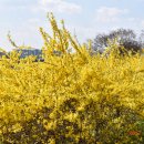 금호강2 이미지