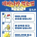 생마차천안
