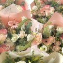 사림동178 이미지