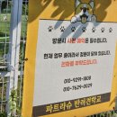 파트라슈반려견학교 이미지