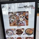 벽계수