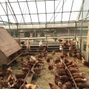 한겨레농장 이미지